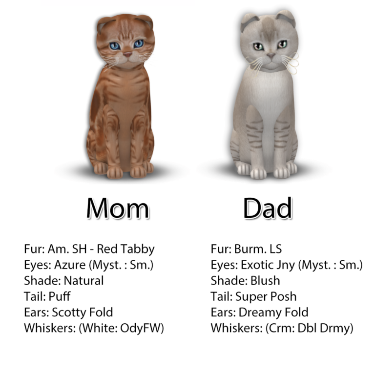 Mom & Dad